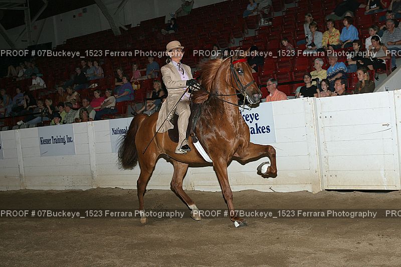 Proof Number 07Buckeye_1523