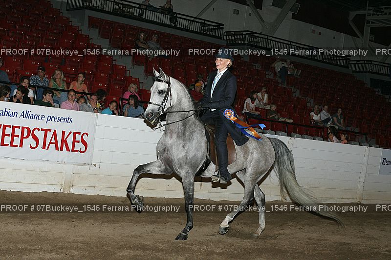 Proof Number 07Buckeye_1546