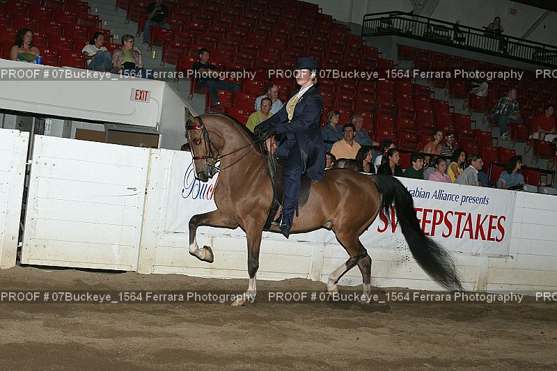Proof Number 07Buckeye_1564