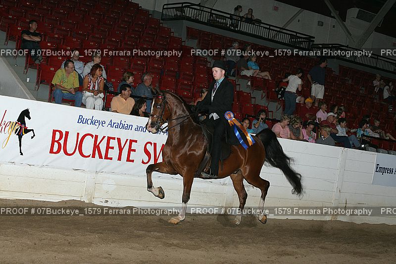 Proof Number 07Buckeye_1579