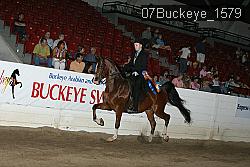 07Buckeye_1579 thumbnail