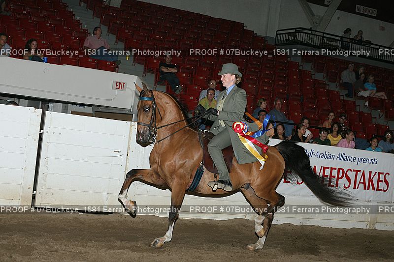 Proof Number 07Buckeye_1581
