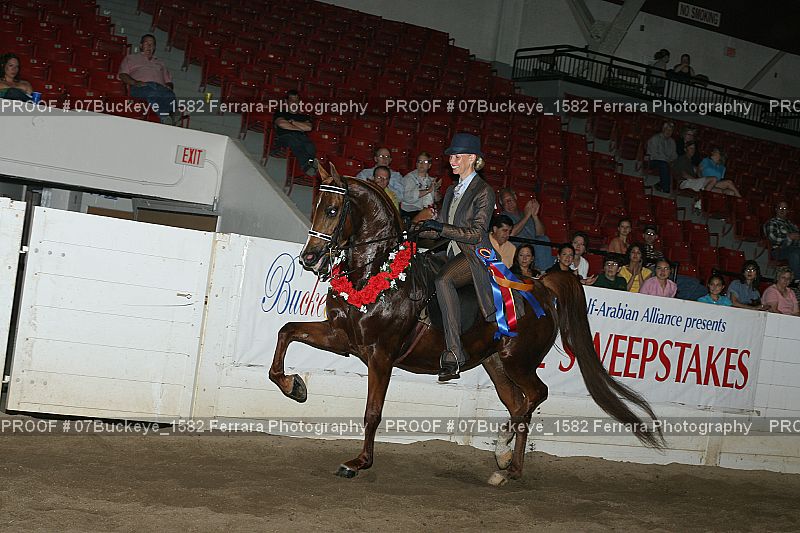 Proof Number 07Buckeye_1582