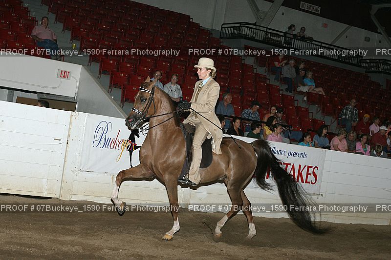 Proof Number 07Buckeye_1590