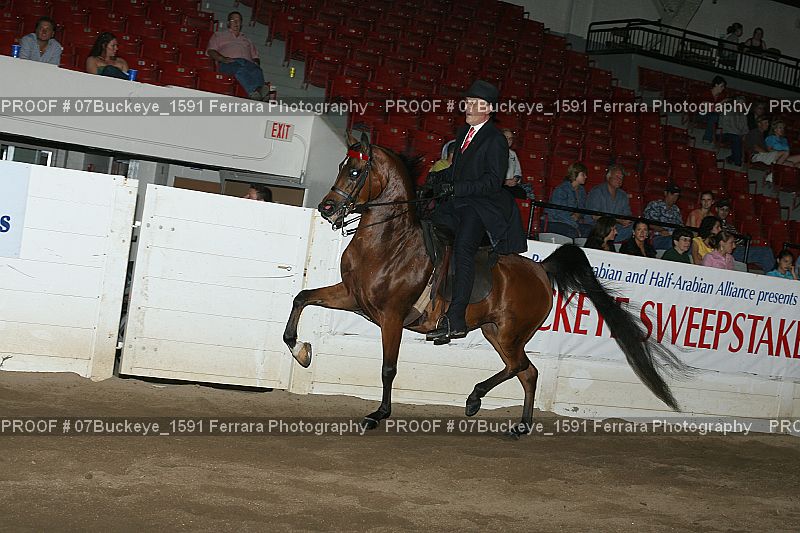 Proof Number 07Buckeye_1591
