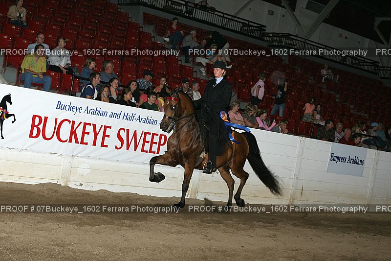 Proof Number 07Buckeye_1602