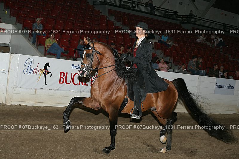 Proof Number 07Buckeye_1631