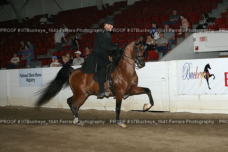 Proof Number 07Buckeye_1641