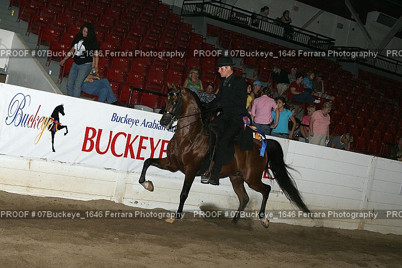 Proof Number 07Buckeye_1646