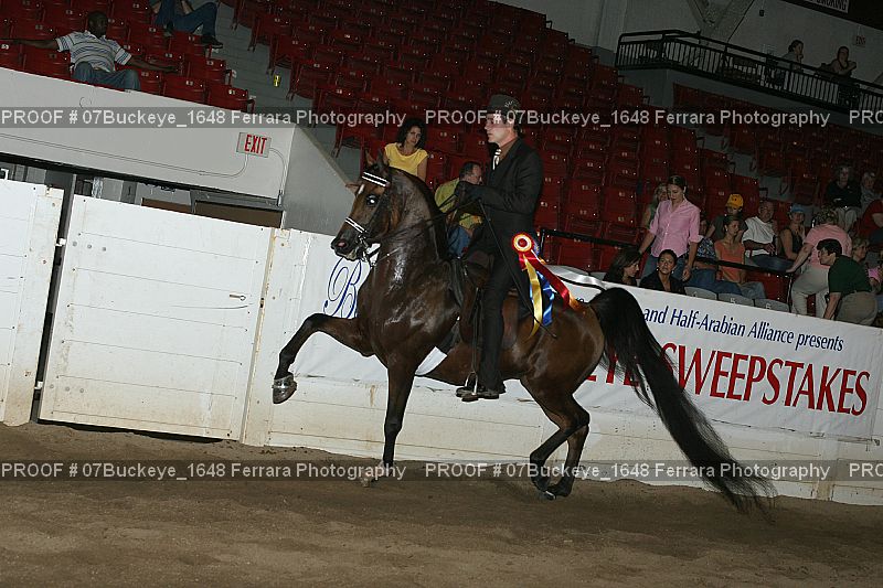 Proof Number 07Buckeye_1648
