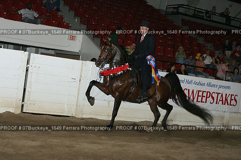 Proof Number 07Buckeye_1649