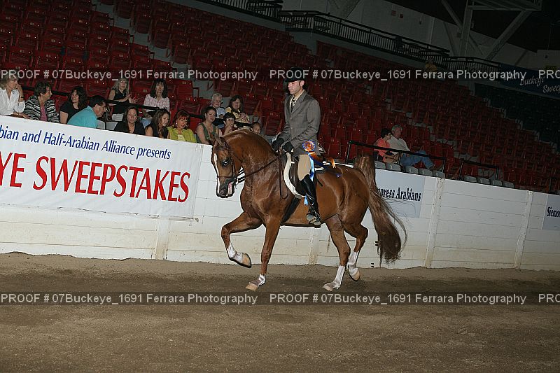 Proof Number 07Buckeye_1691