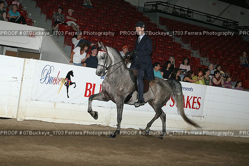 Proof Number 07Buckeye_1703