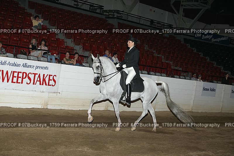 Proof Number 07Buckeye_1759