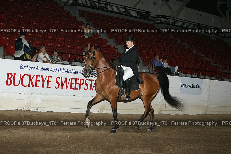 Proof Number 07Buckeye_1761