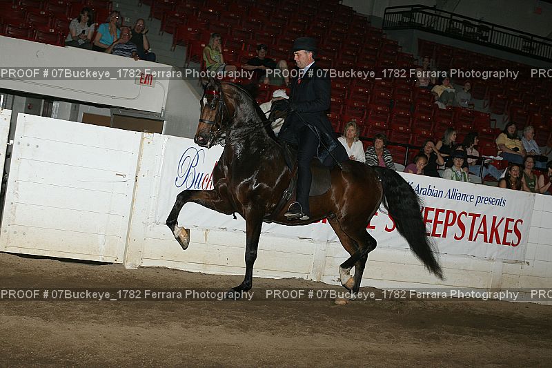 Proof Number 07Buckeye_1782