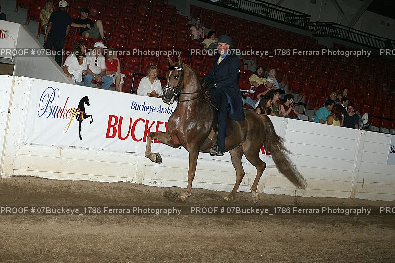 Proof Number 07Buckeye_1786