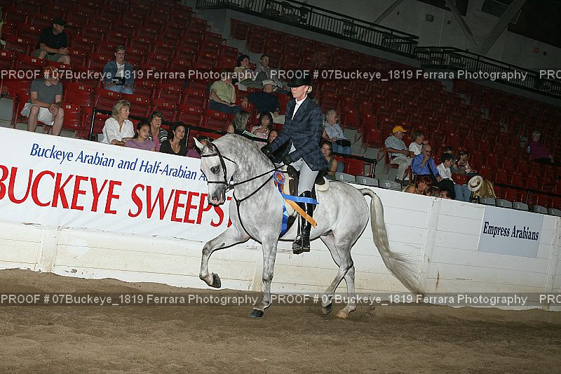 Proof Number 07Buckeye_1819