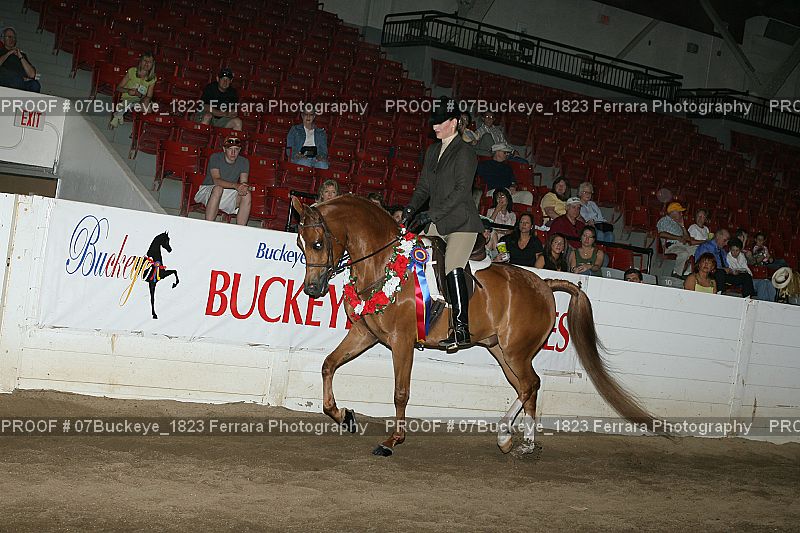 Proof Number 07Buckeye_1823