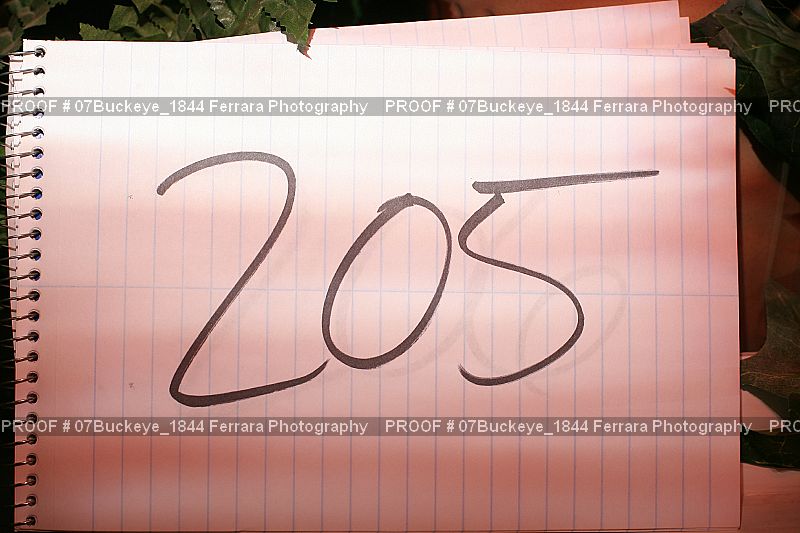 Proof Number 07Buckeye_1844