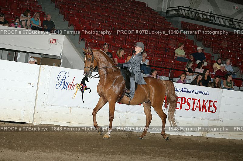 Proof Number 07Buckeye_1848