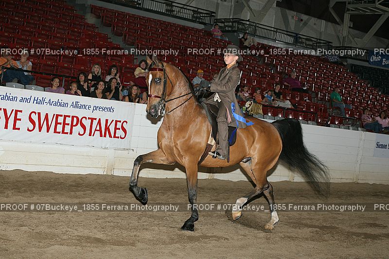 Proof Number 07Buckeye_1855