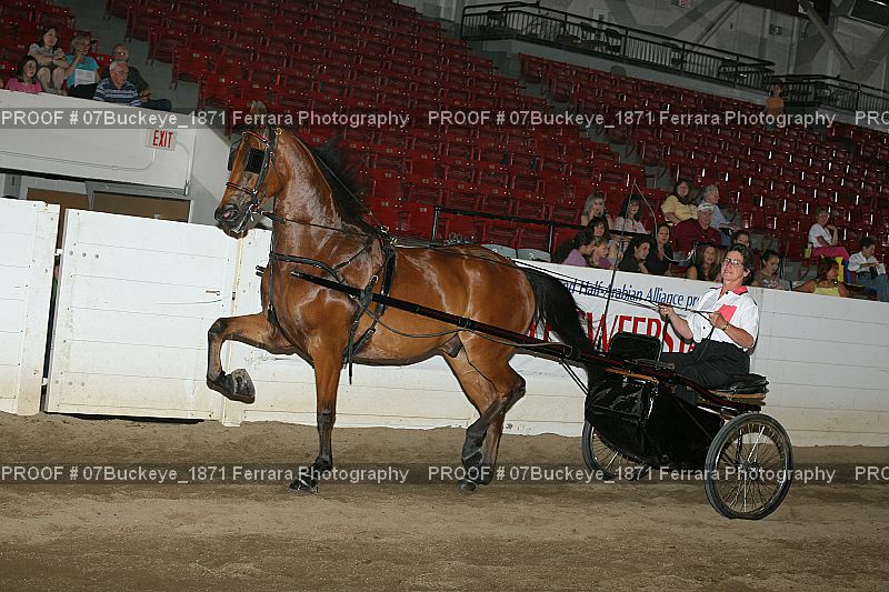 Proof Number 07Buckeye_1871