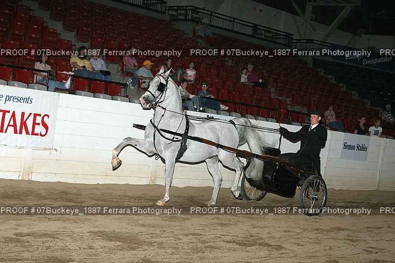 Proof Number 07Buckeye_1887