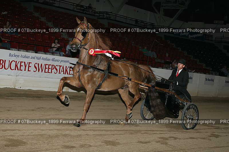 Proof Number 07Buckeye_1899