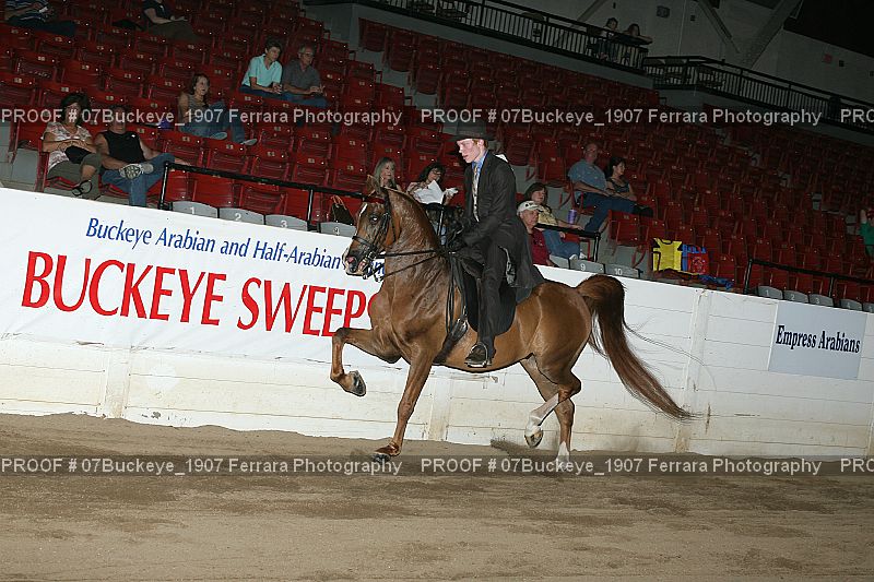 Proof Number 07Buckeye_1907