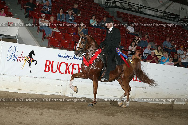 Proof Number 07Buckeye_1975