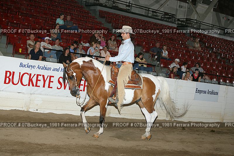 Proof Number 07Buckeye_1981