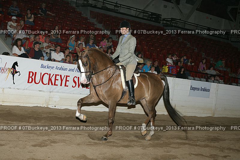 Proof Number 07Buckeye_2013