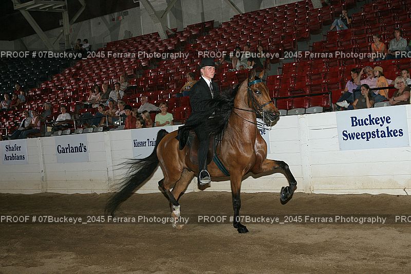 Proof Number 07Buckeye_2045