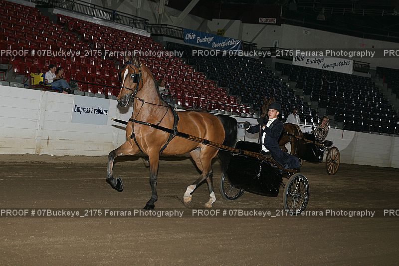 Proof Number 07Buckeye_2175
