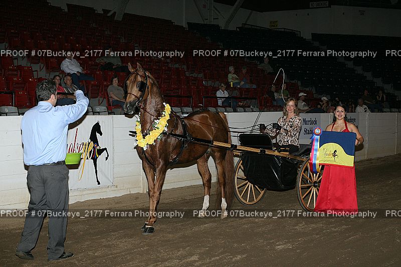 Proof Number 07Buckeye_2177