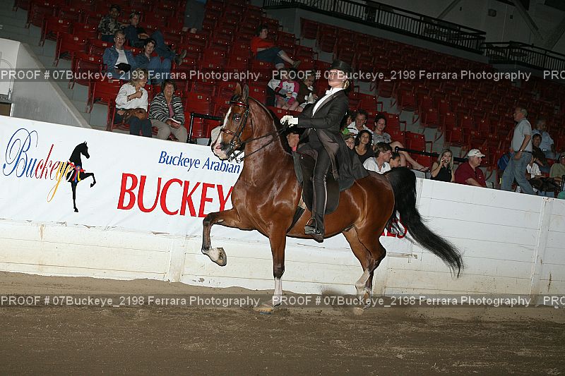 Proof Number 07Buckeye_2198