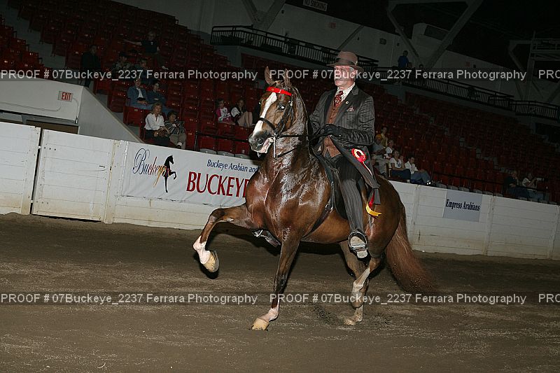 Proof Number 07Buckeye_2237