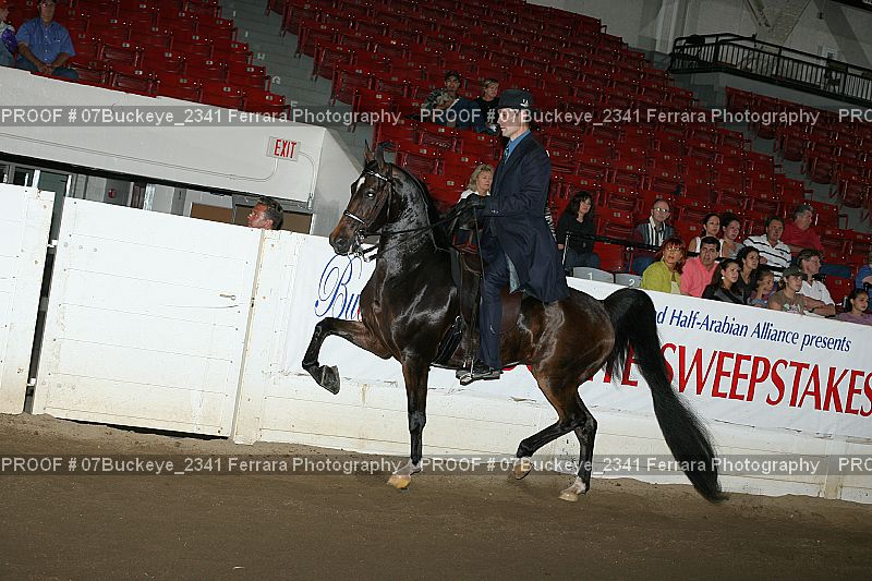 Proof Number 07Buckeye_2341