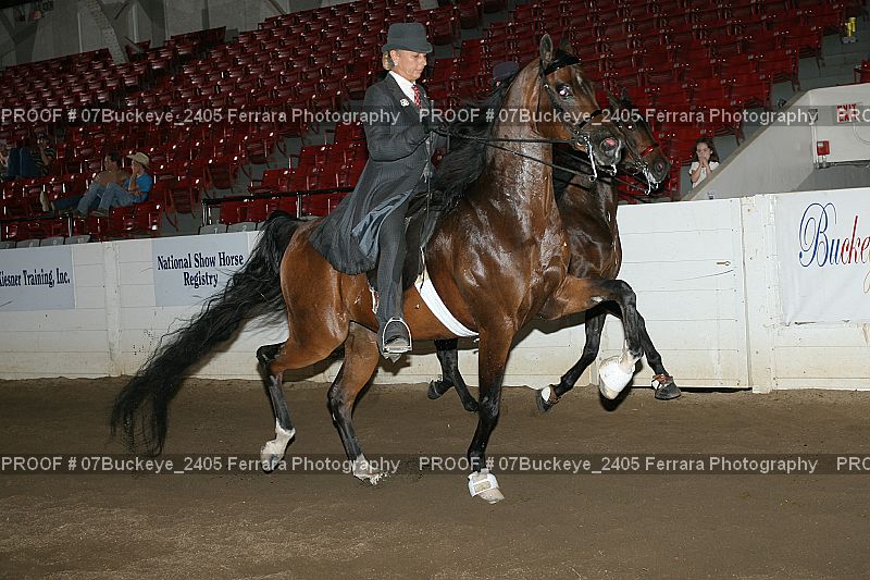 Proof Number 07Buckeye_2405