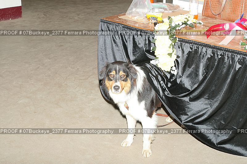 Proof Number 07Buckeye_2377