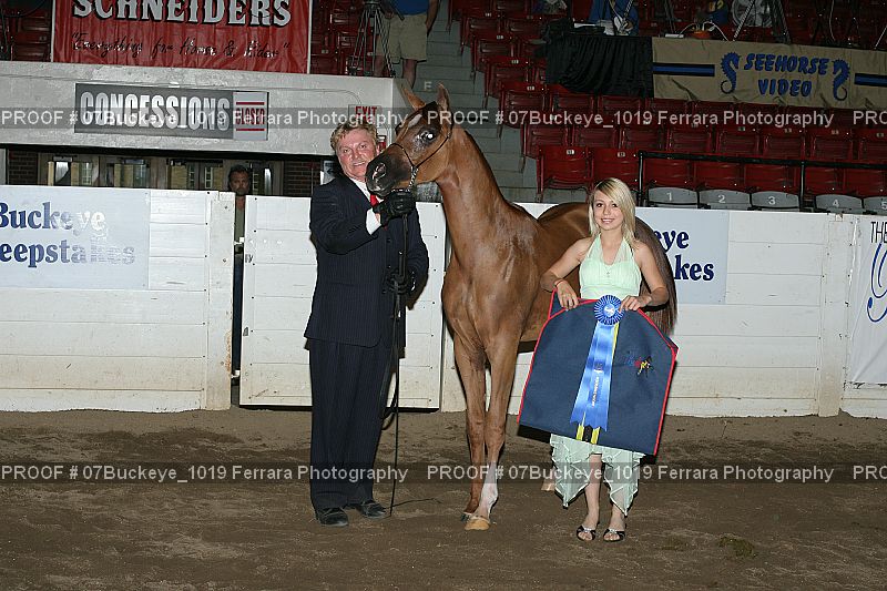 Proof Number 07Buckeye_1019