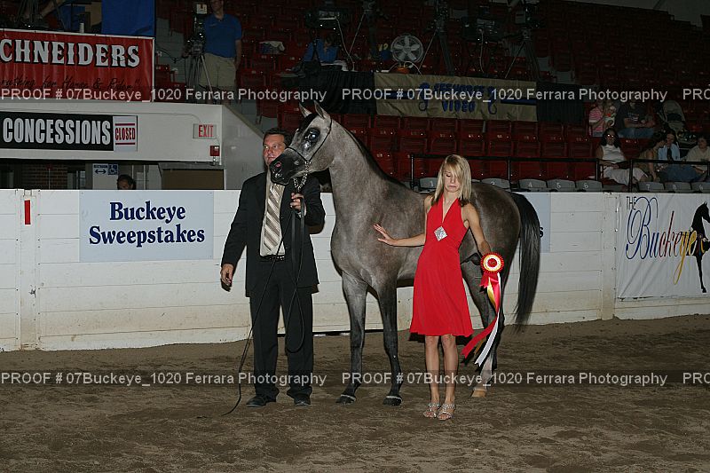 Proof Number 07Buckeye_1020