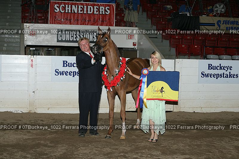Proof Number 07Buckeye_1022