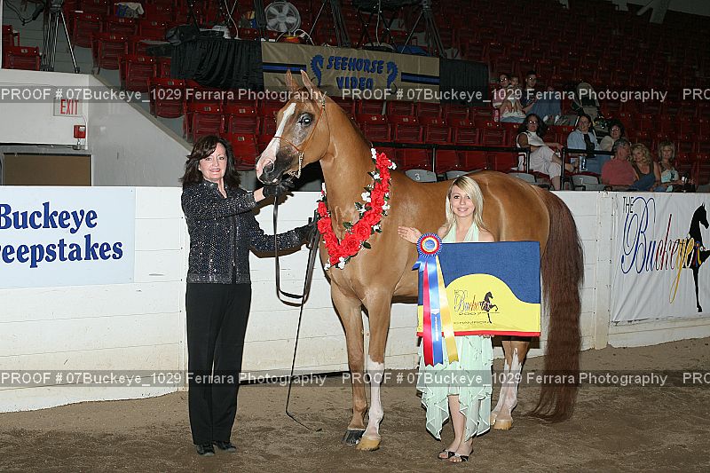Proof Number 07Buckeye_1029