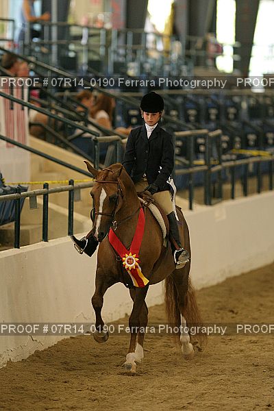 Proof Number 07R14_0190