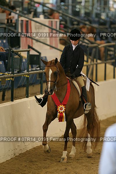 Proof Number 07R14_0191