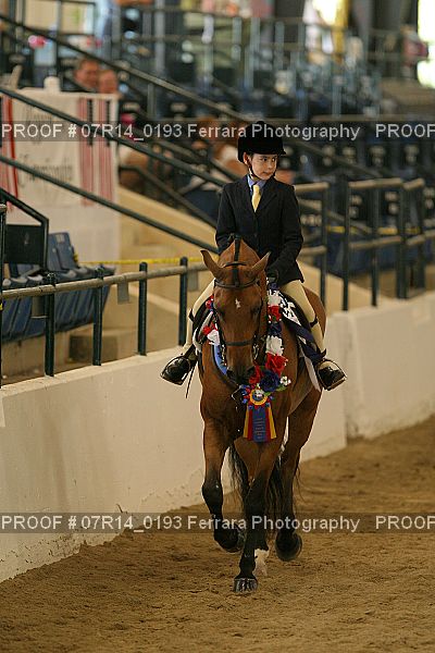 Proof Number 07R14_0193