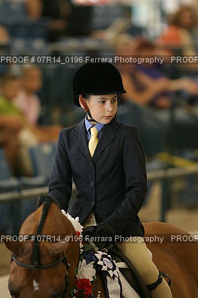 Proof Number 07R14_0196