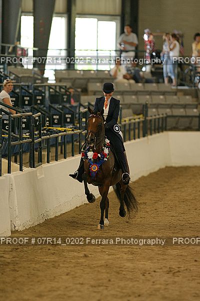 Proof Number 07R14_0202
